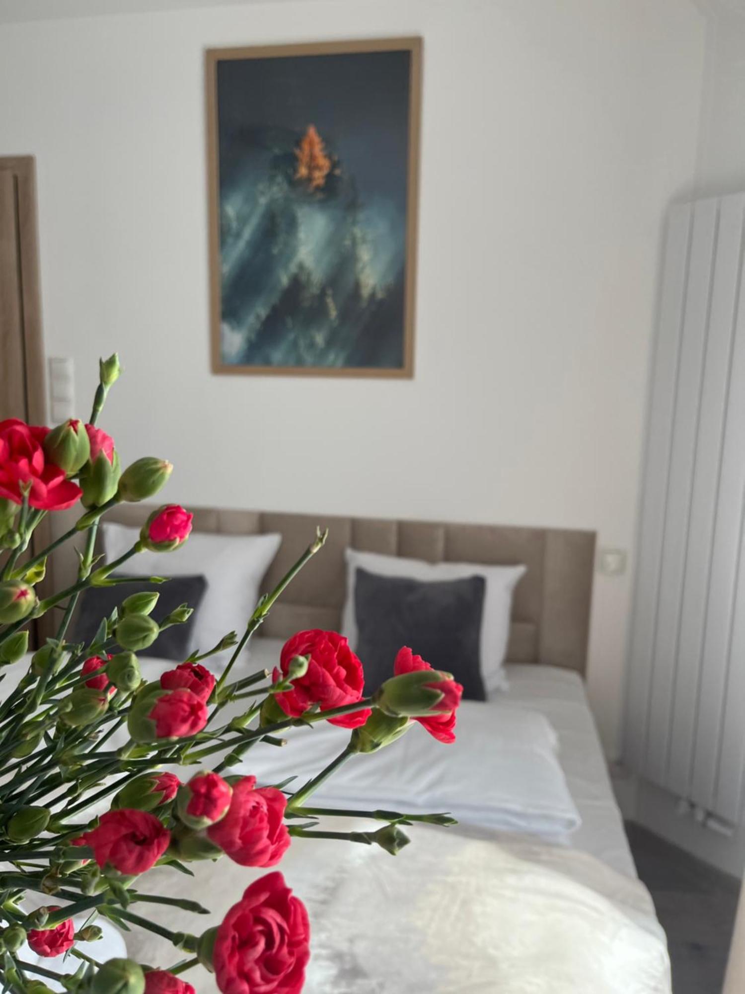 Karkonoskie Widoki Apartamenty Karpacz Buitenkant foto
