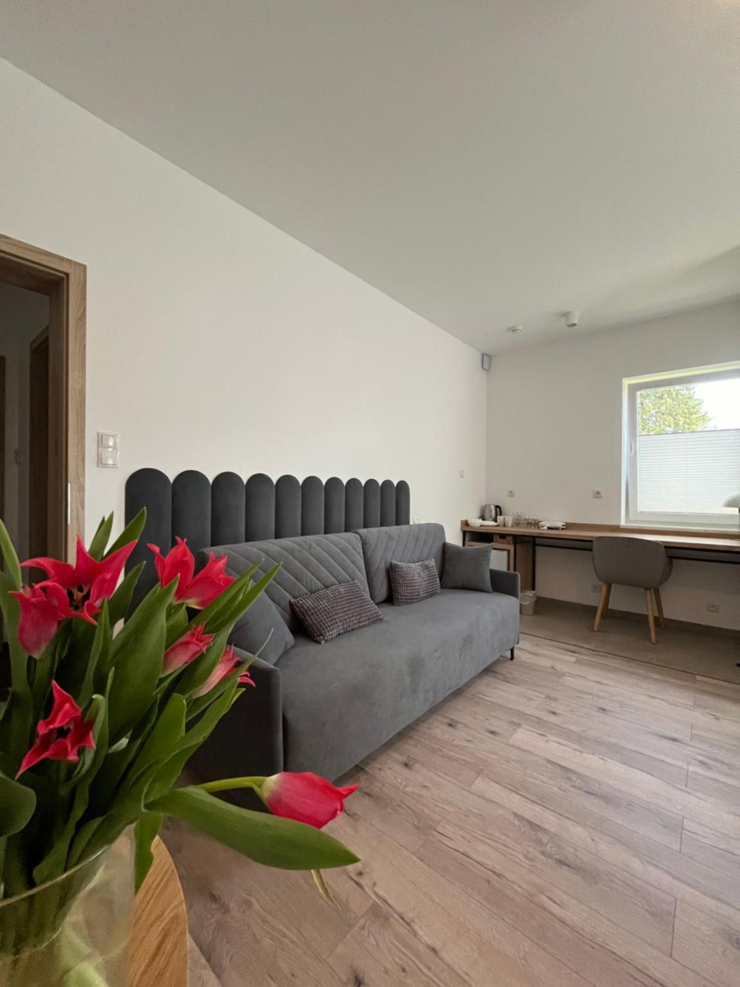 Karkonoskie Widoki Apartamenty Karpacz Buitenkant foto