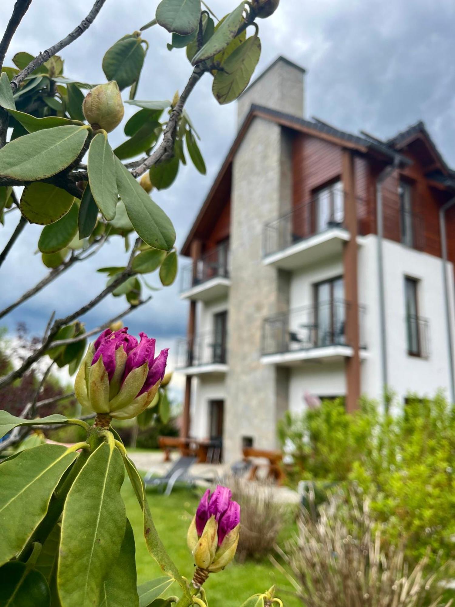 Karkonoskie Widoki Apartamenty Karpacz Buitenkant foto