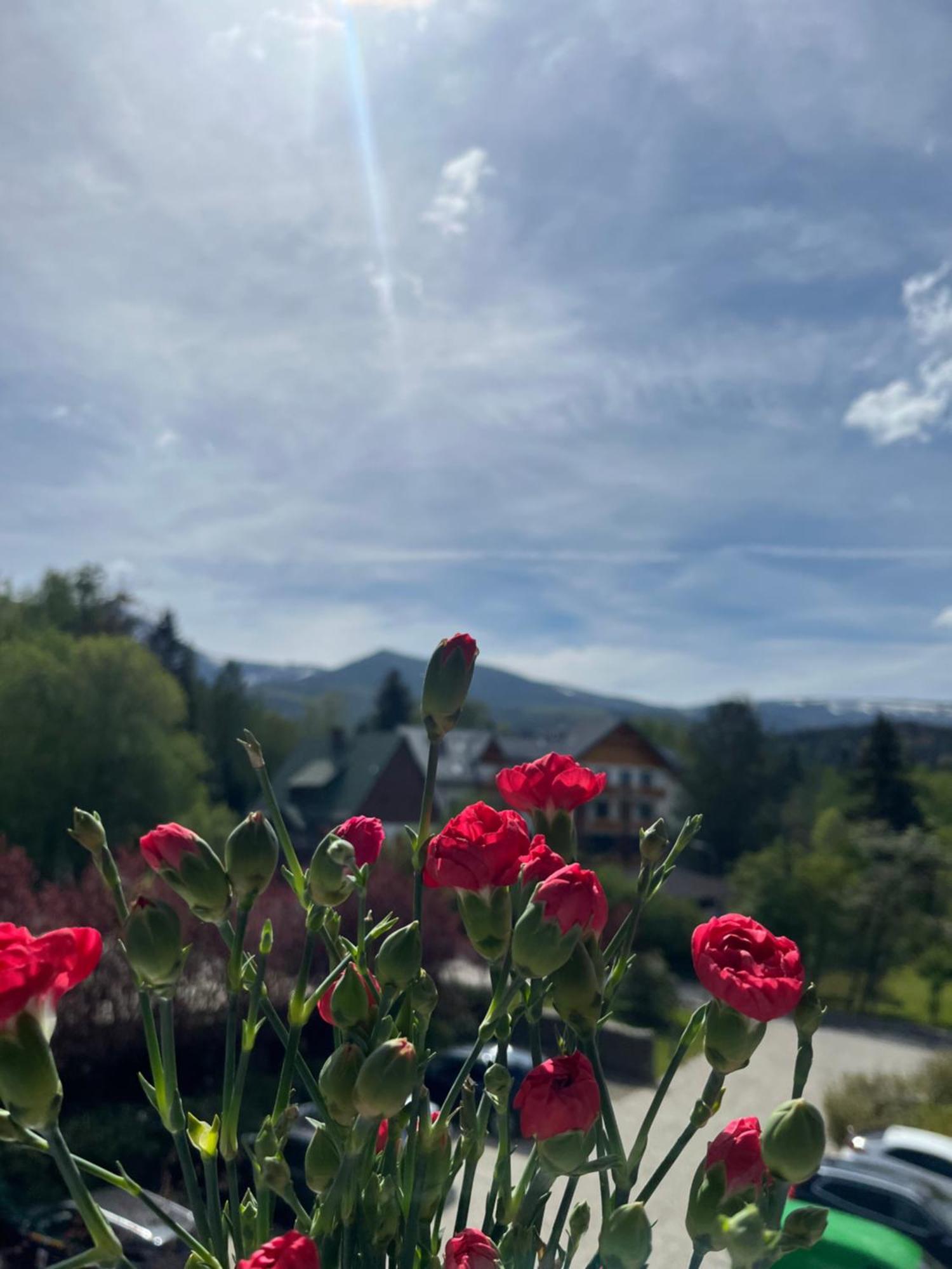 Karkonoskie Widoki Apartamenty Karpacz Buitenkant foto