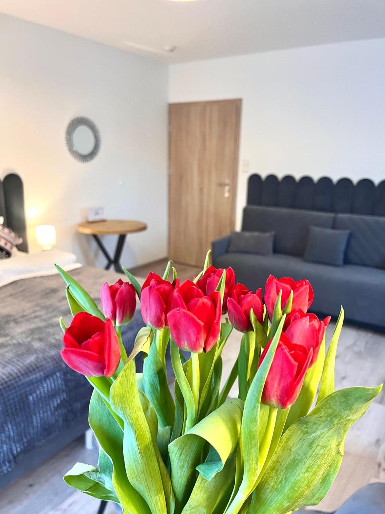 Karkonoskie Widoki Apartamenty Karpacz Buitenkant foto