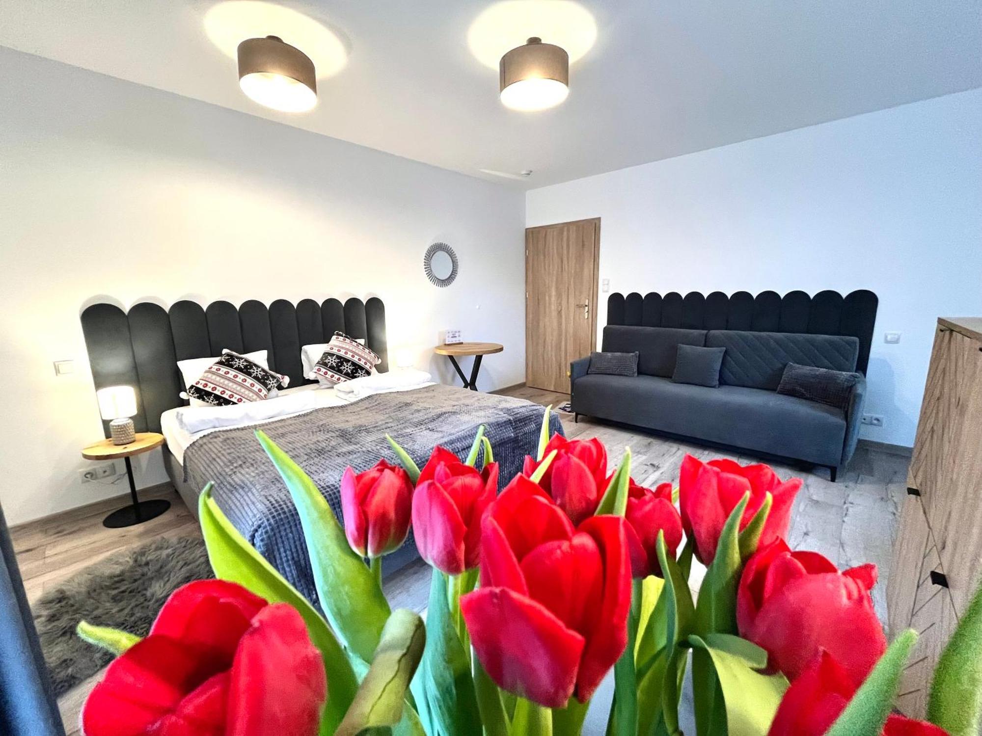 Karkonoskie Widoki Apartamenty Karpacz Buitenkant foto