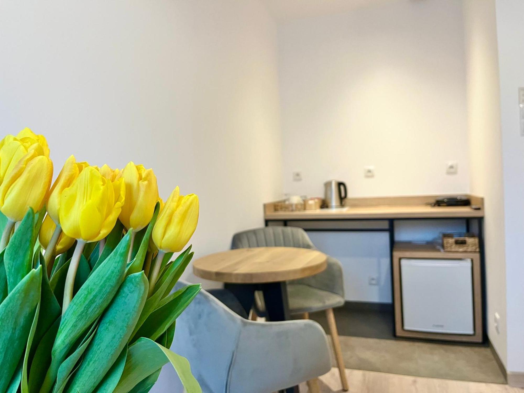 Karkonoskie Widoki Apartamenty Karpacz Buitenkant foto